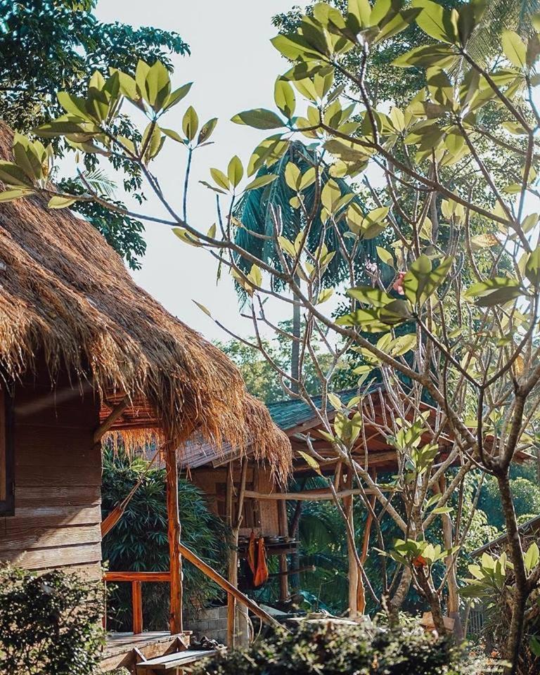 利特一登小屋 象岛 外观 照片